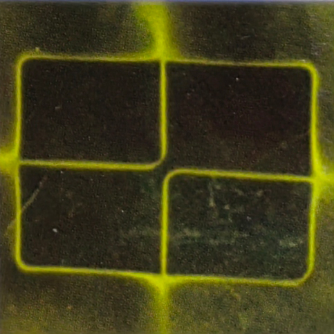 Axial quadrupole magnetization