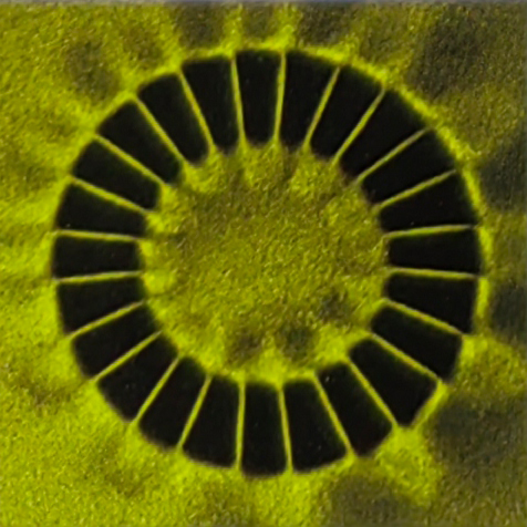 Axial twenty-four pole magnetization